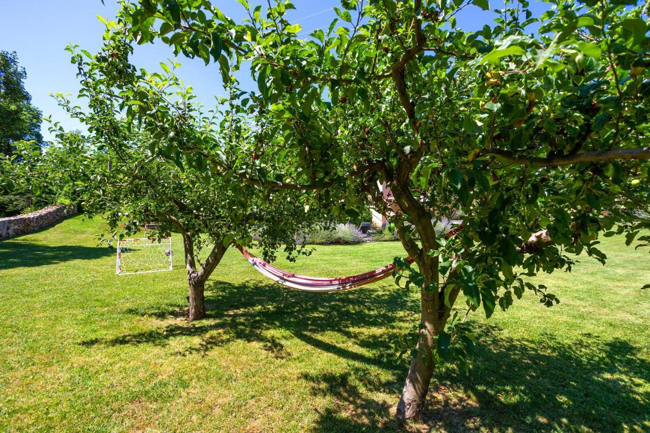 Villa Krizanci Zminj Экстерьер фото
